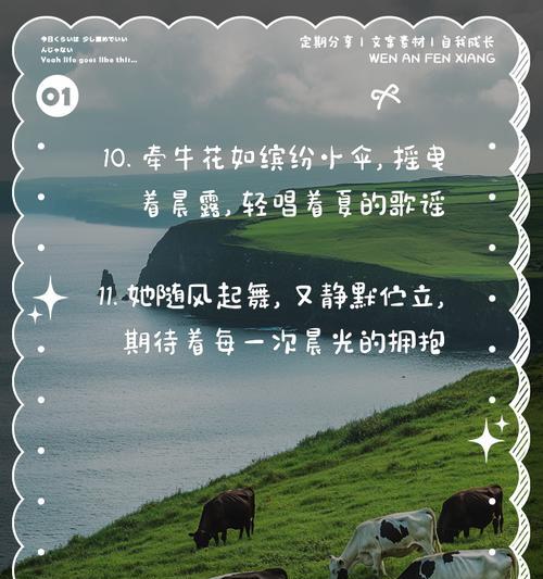 喇叭花的花语背后有什么故事？