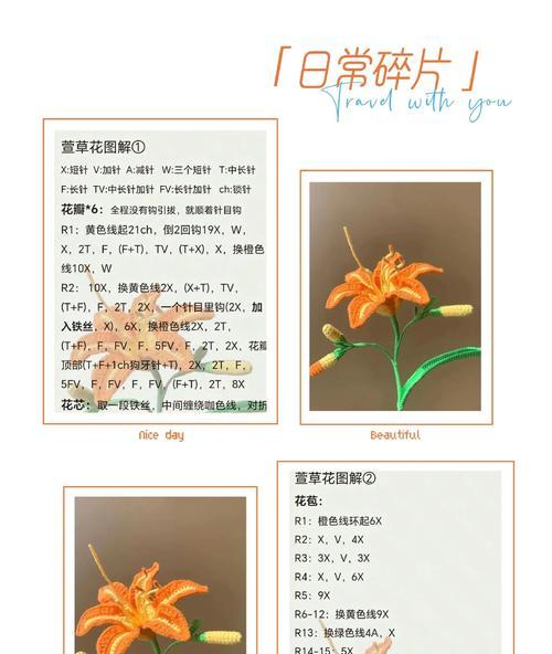 忘忧草代表了哪些情感？