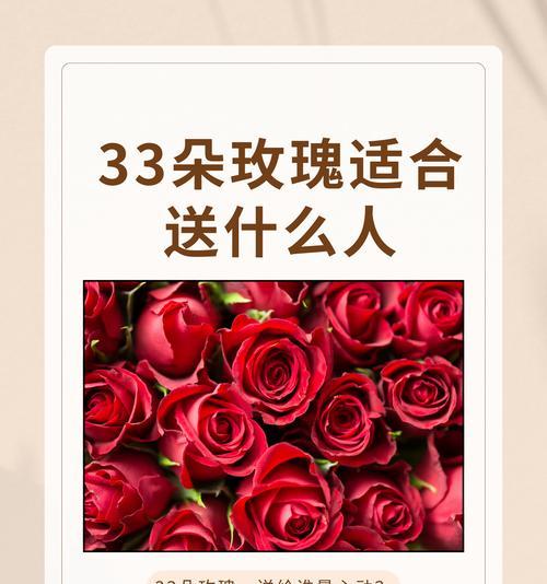橙玫瑰代表了哪些情感？