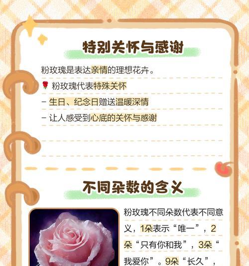 粉玫瑰和桔梗花的花语有何不同？