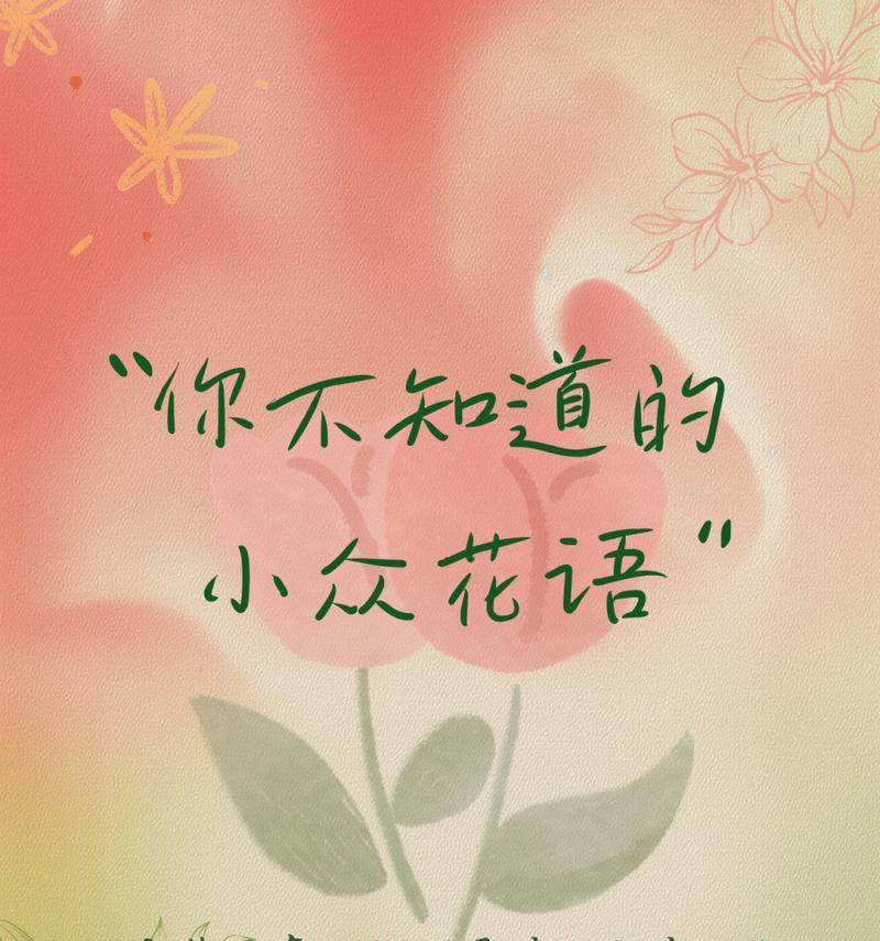小雏菊的花语和寓意有哪些？