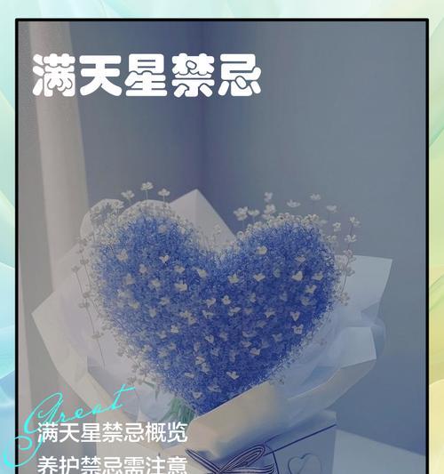 满天星花语中包含喷水的含义吗？