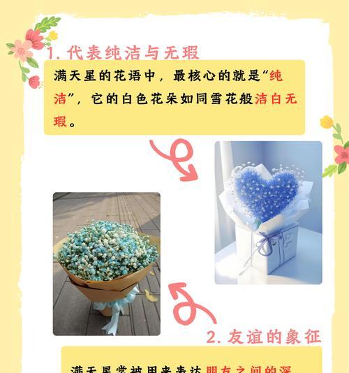 望鹤兰花语是什么意思？朋友满天星的花语是什么？