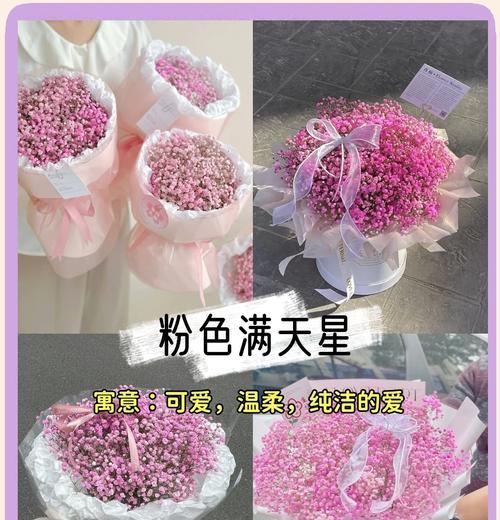 朋友满天星的花语有哪些？瑞香花花语与传说是什么？