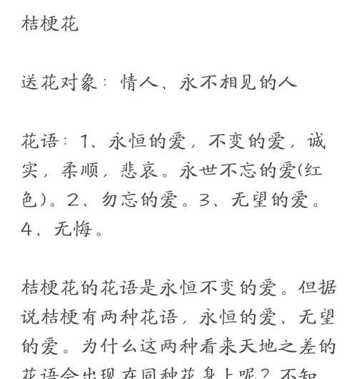 桔梗花的花语朋友有哪些？菊樱花花语是什么？