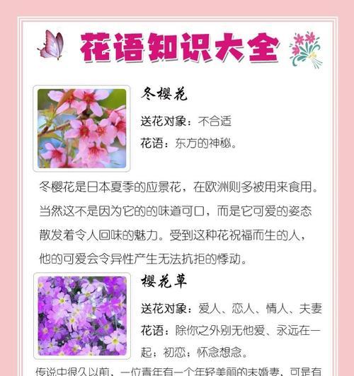斑纹金露花的花语有哪些？樱花草花语报春花是什么？