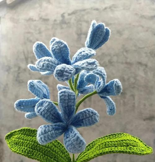 黄花鸡蛋花的花语含义是什么？适合哪种场合？