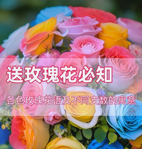 玫瑰花的花语朋友是什么？如何选择送给朋友？