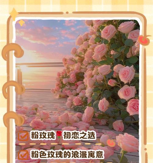 玫瑰花的花语朋友是什么？如何选择送给朋友？