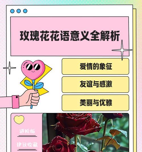 玫瑰花花语20支代表什么？送20支玫瑰的意义是什么？