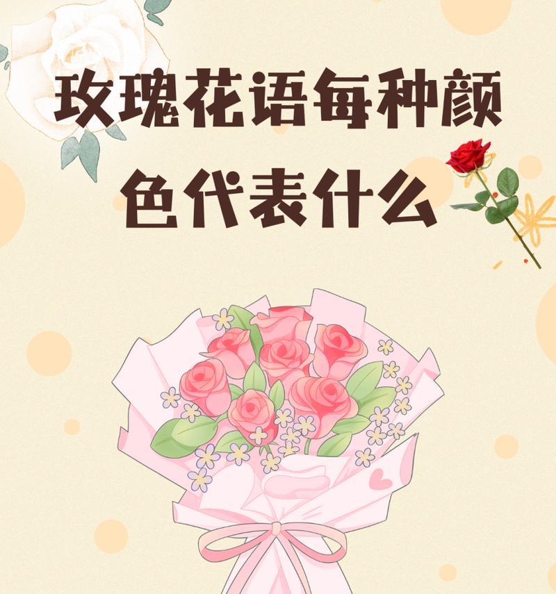 玫瑰花花语20支代表什么？送20支玫瑰的意义是什么？