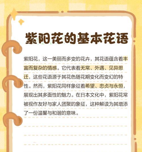 紫色夕颜花的花语是什么？夕颜花的寓意有哪些？
