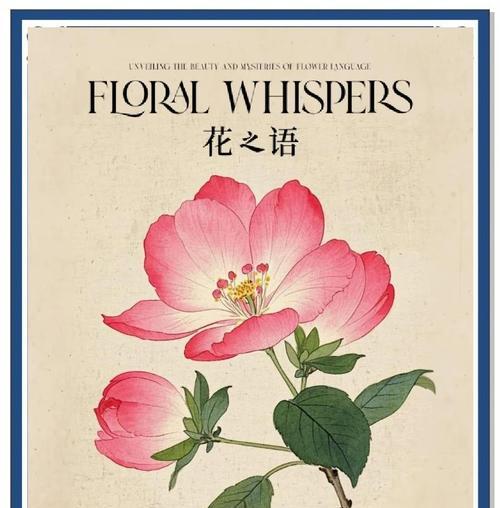 紫色夕颜花的花语是什么？夕颜花的寓意有哪些？