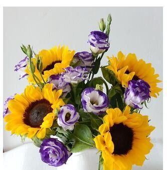 太阳花洋桔梗花语是什么？这两种花的寓意分别是什么？