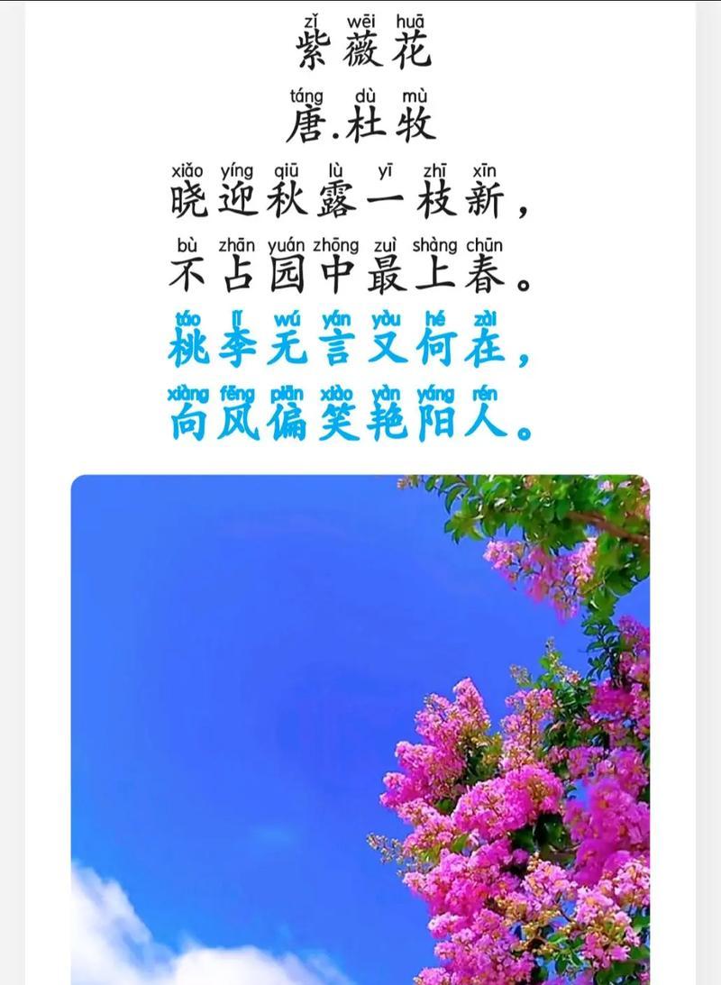 紫薇花的花语的诗？紫薇花的花语有哪些诗意表达？
