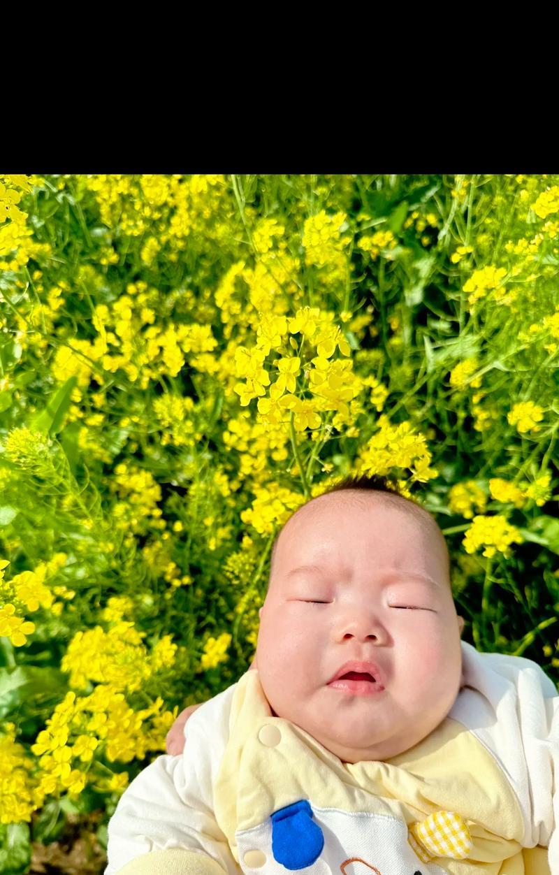 山野小黄花的花语是什么？小黄花在自然界中的意义是什么？