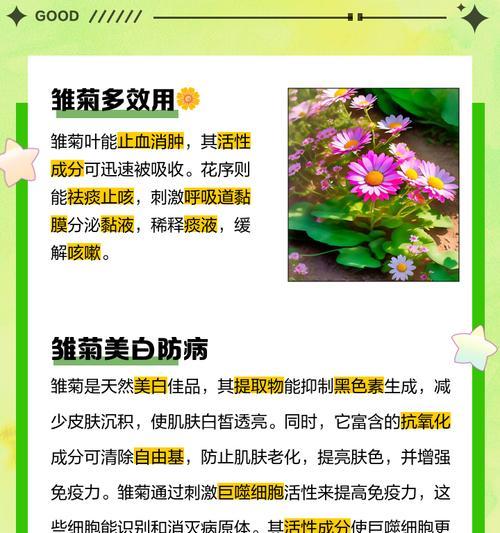 小雏菊花语小故事？小雏菊的花语背后有哪些故事？