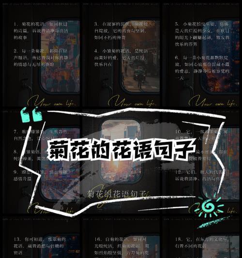 小雏菊花语小故事？小雏菊的花语背后有哪些故事？