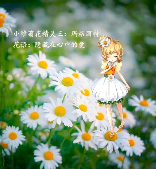 小雏菊花语小故事？小雏菊的花语背后有哪些故事？