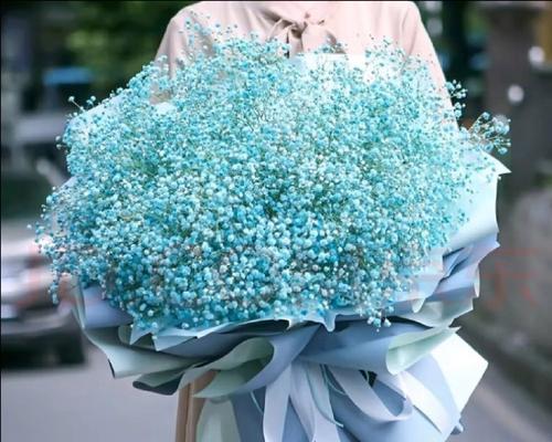 草莓加满天星花语是什么？草莓与满天星组合的花语含义？