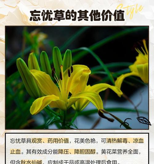 花草树木花语寓意？如何理解自然界的花语与寓意？
