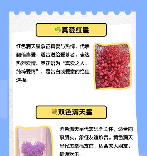 满天星花语有哪些含义？如何正确理解？