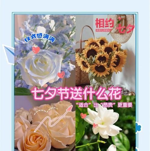 百可花花语是如何形成的？它的由来是什么？
