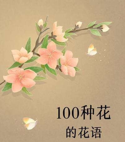 百可花花语是如何形成的？它的由来是什么？