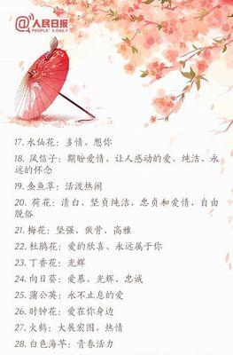 百可花花语是如何形成的？它的由来是什么？