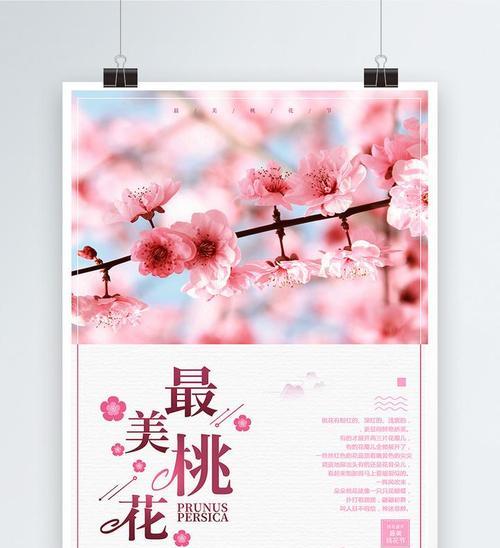 桃花的花语是什么？它有哪些象征意义？