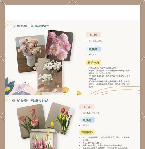 晴叶龙的花语和寓意是什么？它代表什么？