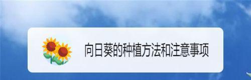 向日葵花语如何种植？