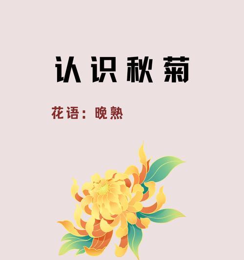 菊花的花语有哪些含义？