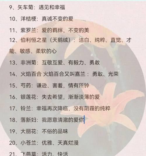 纯白玫瑰的花语寓意是什么？