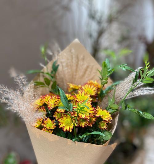 雏菊花的花语及寓意是什么？