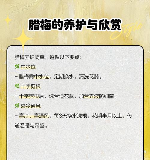蜡梅的花语及象征意义是什么？