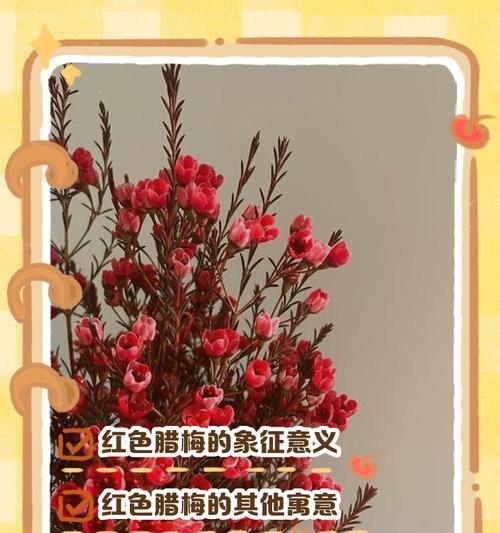 蜡梅的花语及象征意义是什么？
