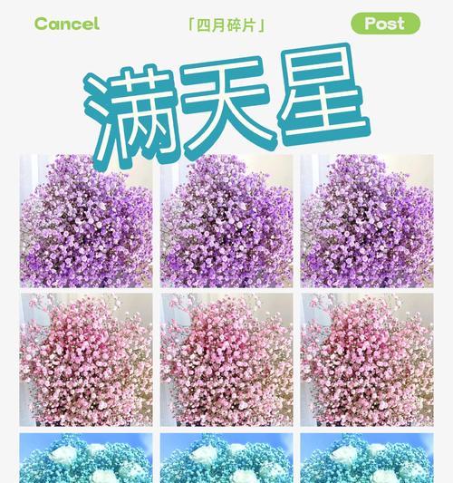 满天星的最初花语是什么？
