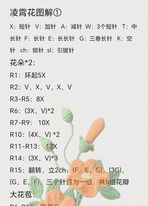 凌霄花的花语是什么？它象征着什么？