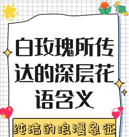 白玫瑰花语的起源是什么？它代表了什么？