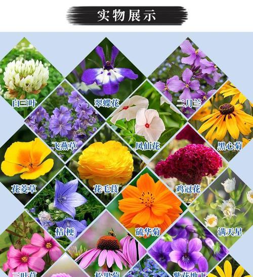 花语是生命里的花代表什么意义？