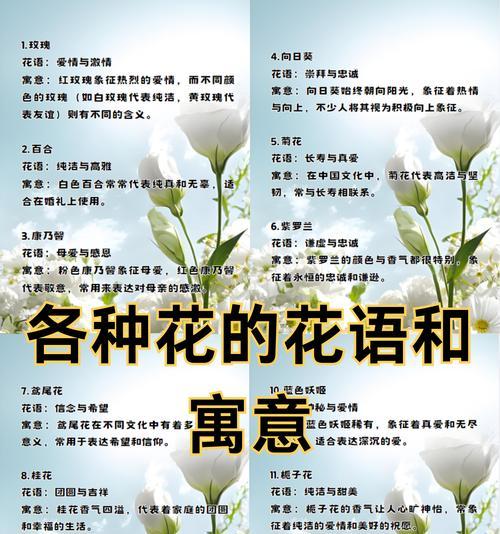 玫瑰花项链的花语有何深层含义？