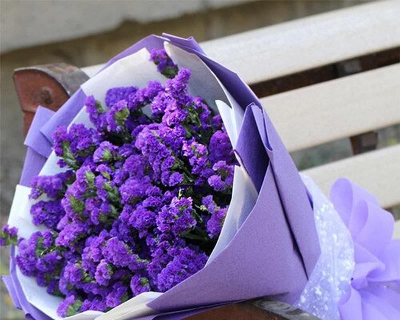 勿忘我悲伤的花语有何深层含义？
