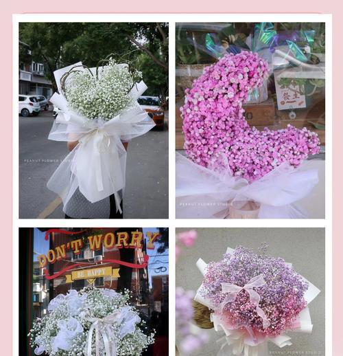 满天星表达歉意的花语是什么？