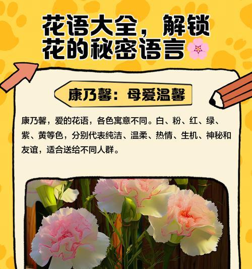 月光花的花语有何特别之处？