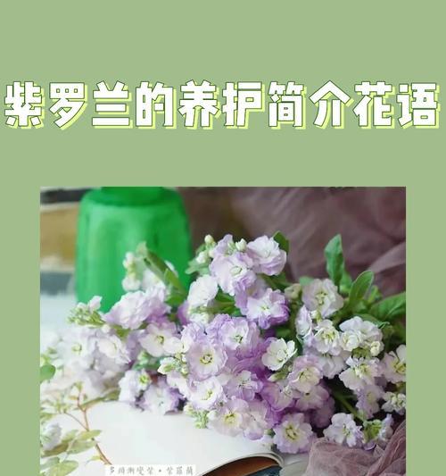 珍珠白果花的花语有何含义？