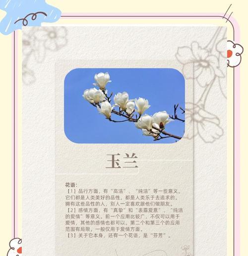 玉兰花的花语如何表达？