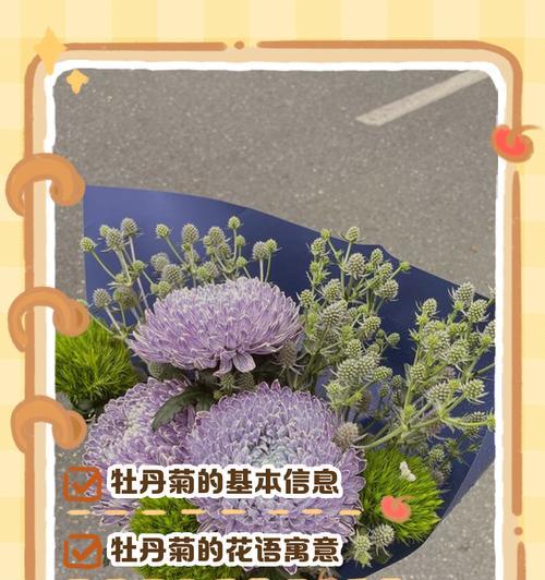 各种颜色菊花的花语是什么？菊花花语有哪些含义？