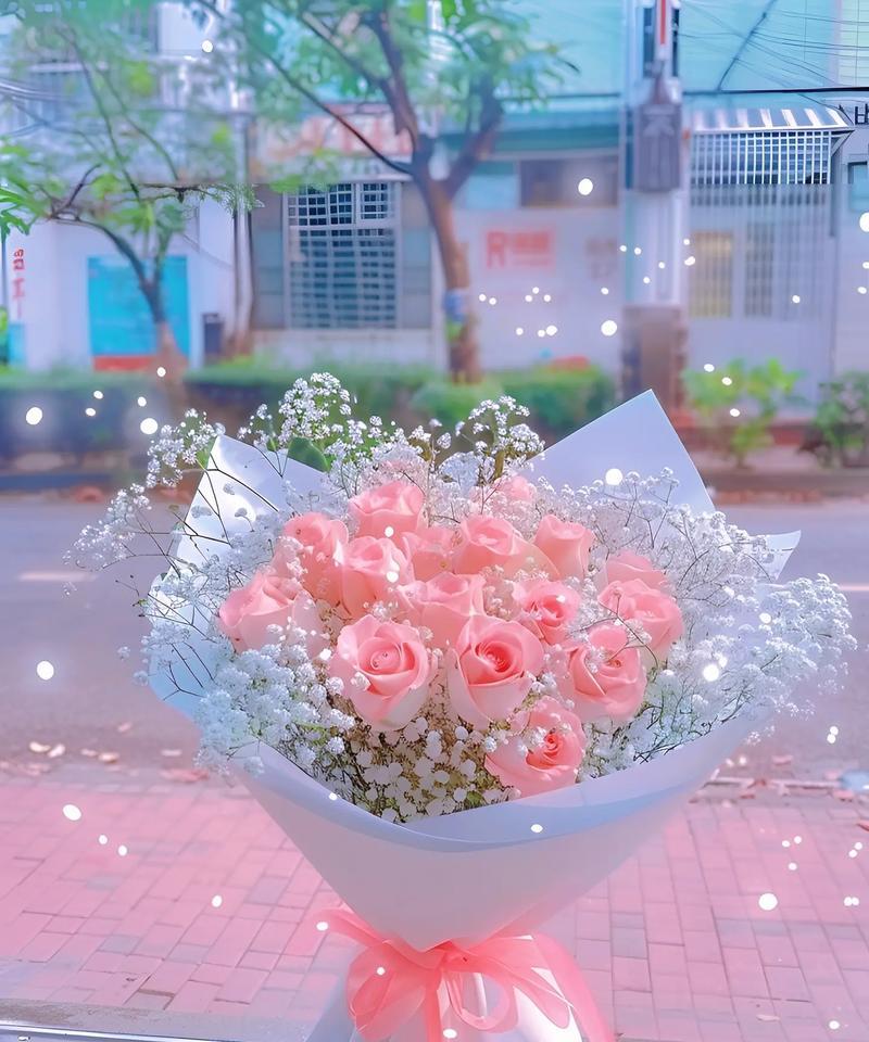 满天星的花语是什么？如何养殖满天星？