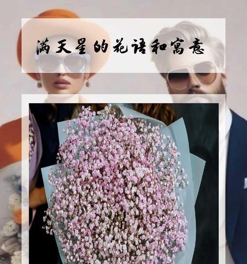 满天星的花语是什么？如何养殖满天星？
